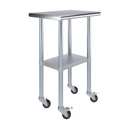 18" X 24" Stainless Steel Work Table With Undershelf and Casters